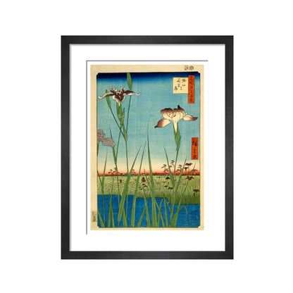 Iris Garden at Horikiri - Art print