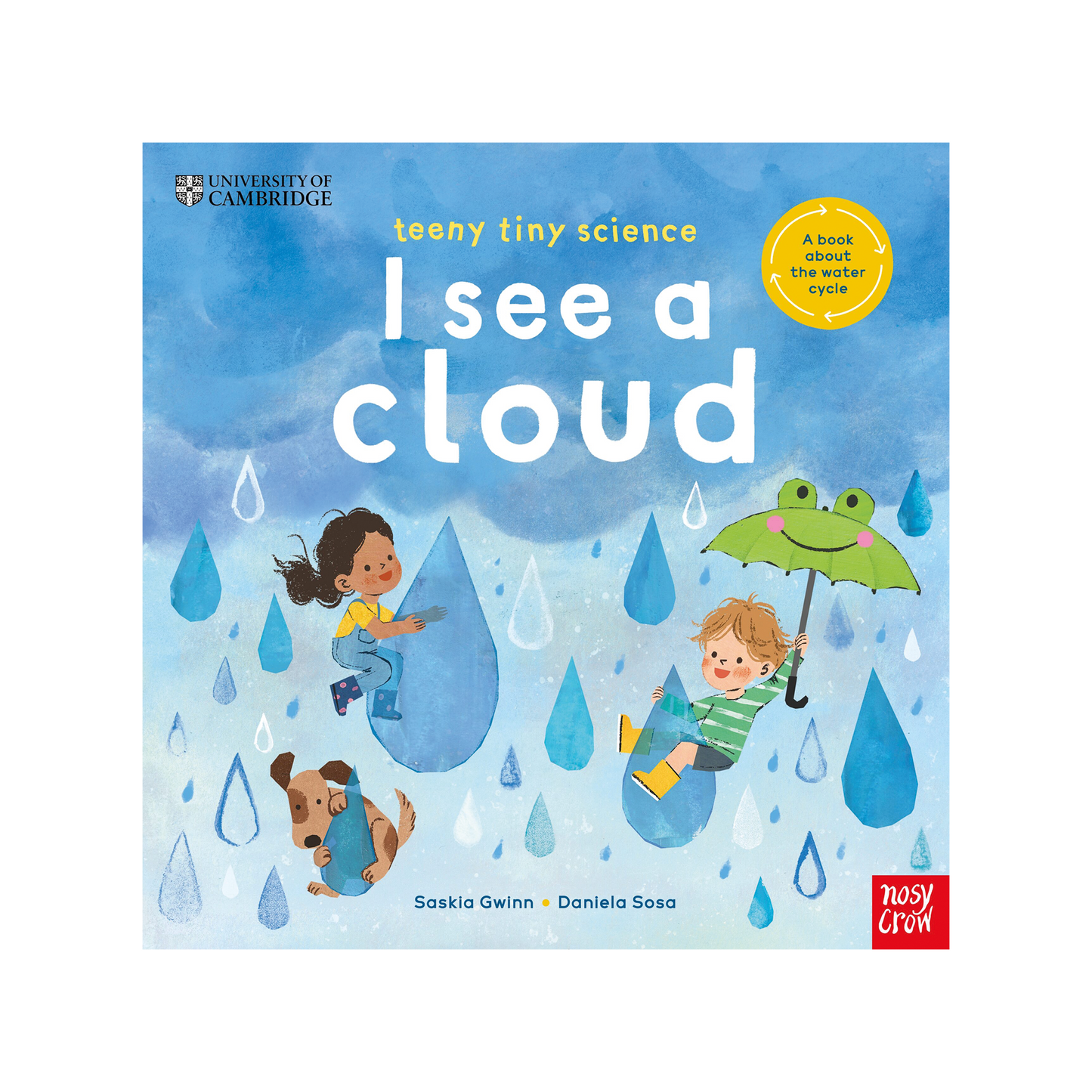 Teeny Tiny Science: I See a Cloud