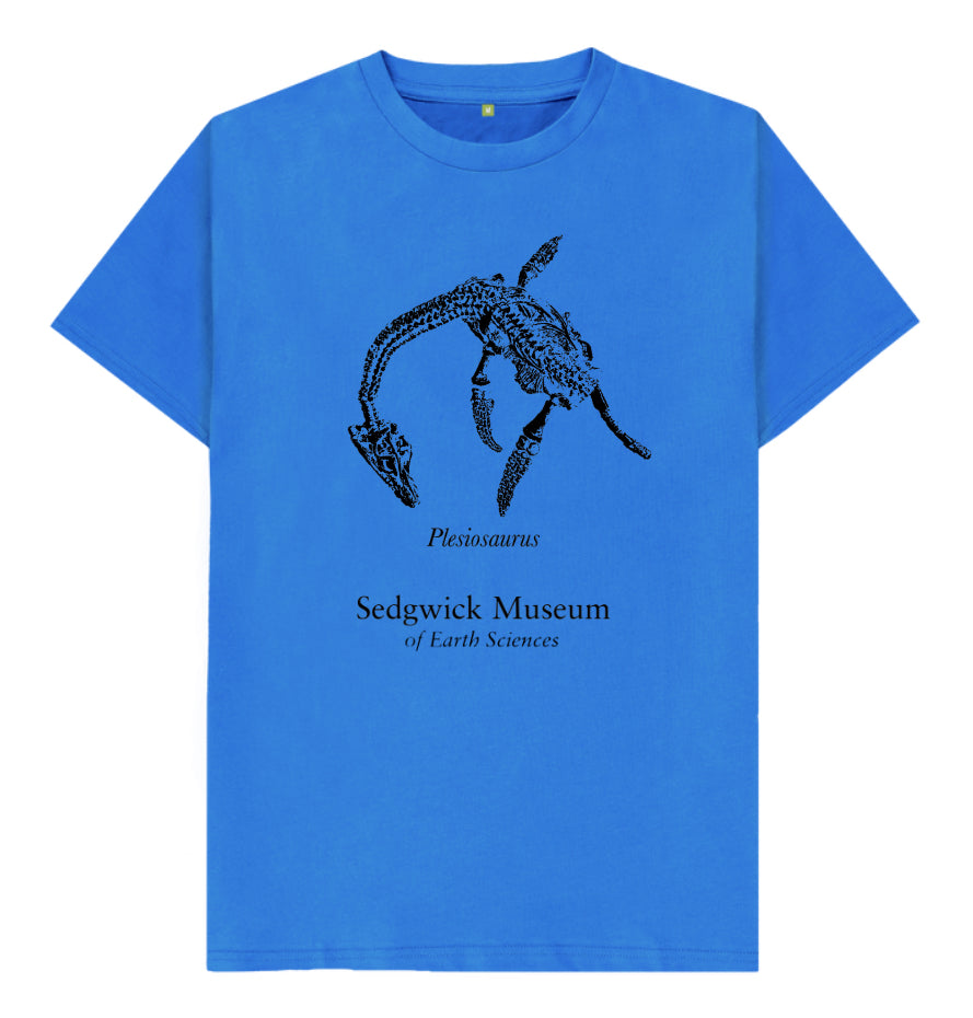 Plesiosaurus on Bright Blue - Children's T-shirt