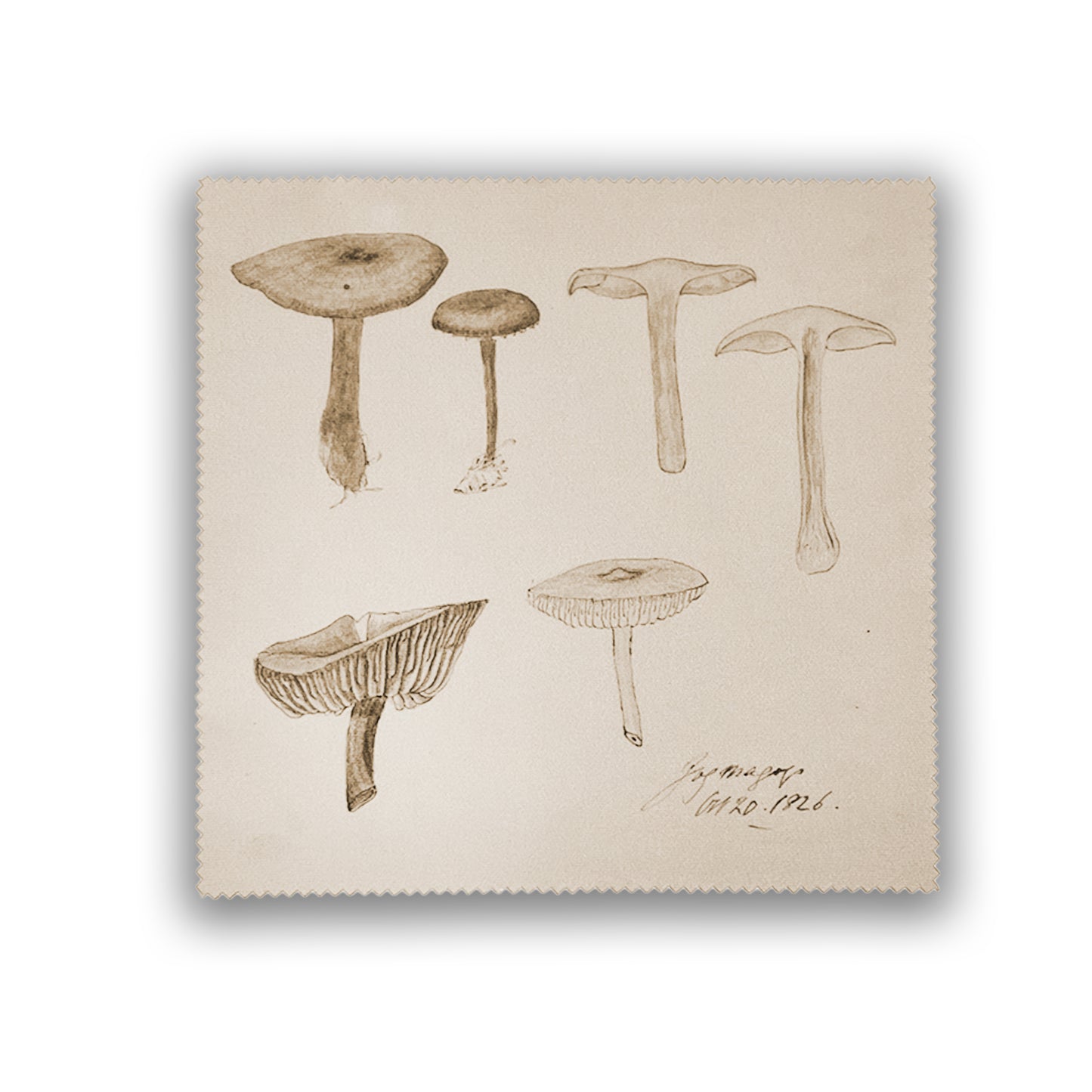 Lens cloth featuring Fungi illustrations