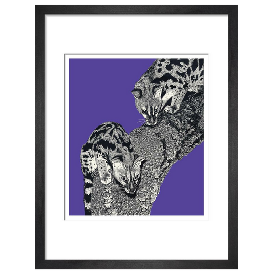 Large Spotted Genet on Purple - Art print