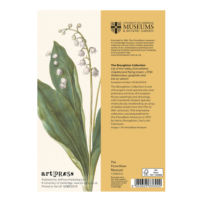Lily of the Valley - Greeting card