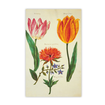 Tulips - Notecard pack