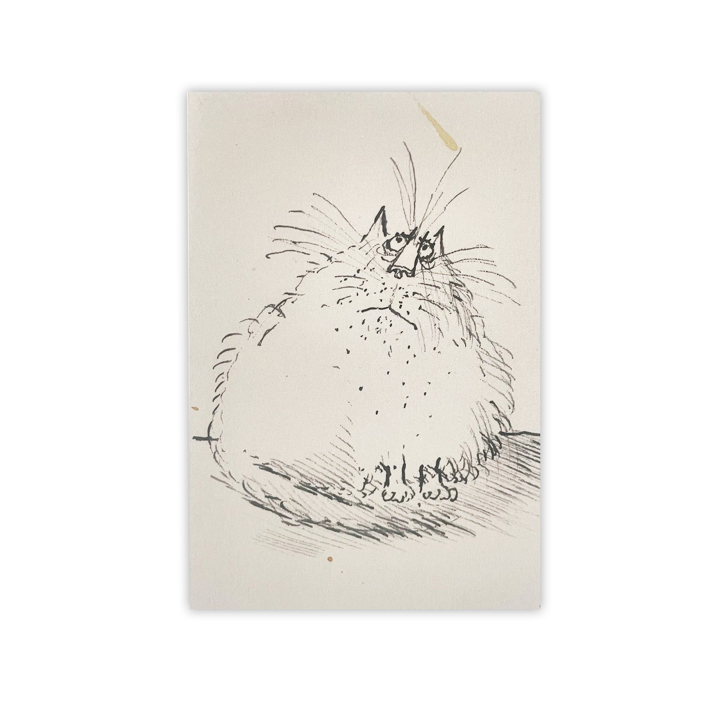 Ronald Searle's Cats - Notecard pack
