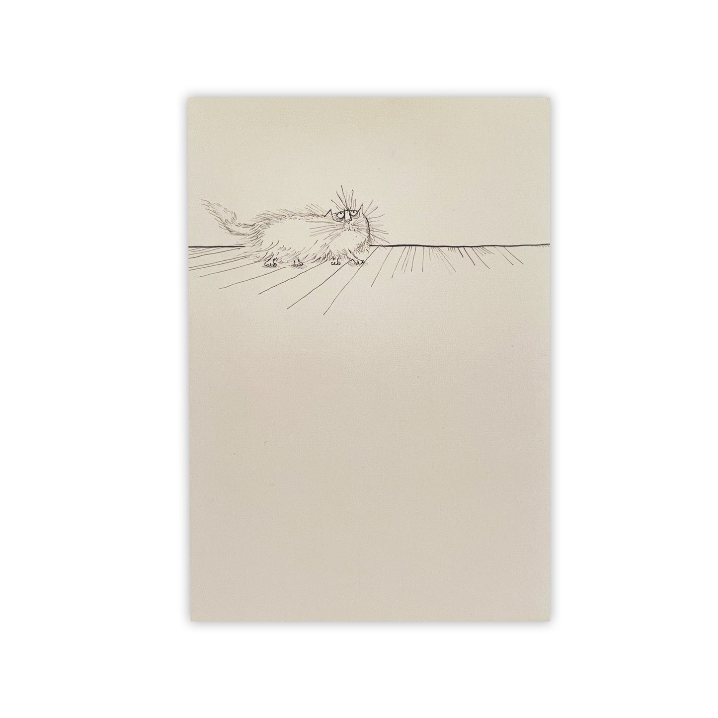 Ronald Searle's Cats - Notecard pack
