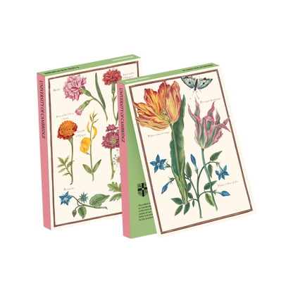 Nicolas Robert - Card Wallet