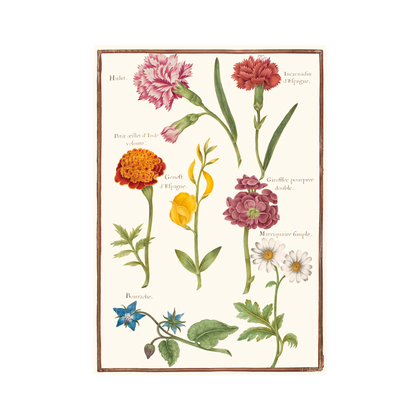 Nicolas Robert - Card Wallet
