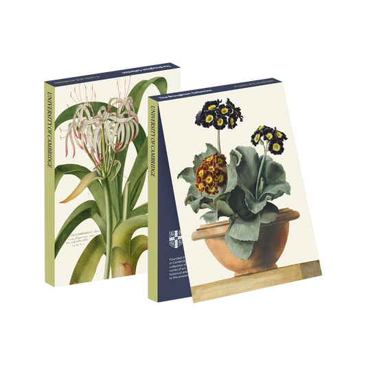 Primula and Lily - Card wallet