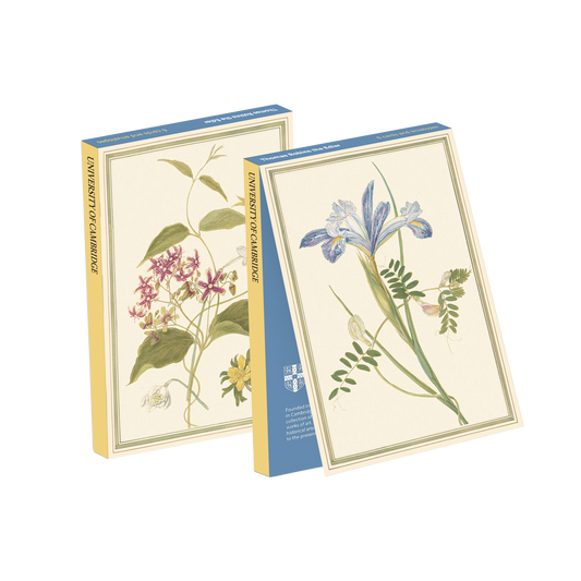 Thomas Robins the Elder - Card wallet
