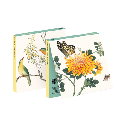 Youqua - Card Wallet