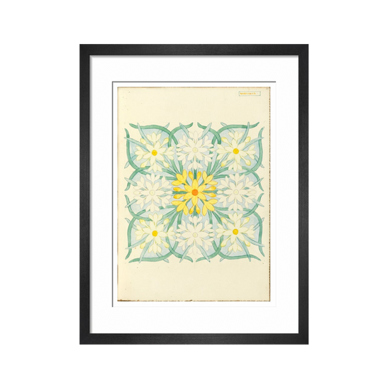 Narcissus - Art print