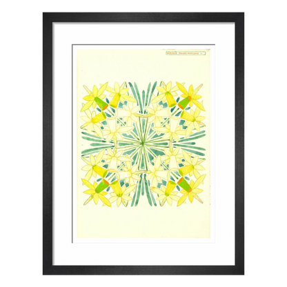 Narcissus - Art print