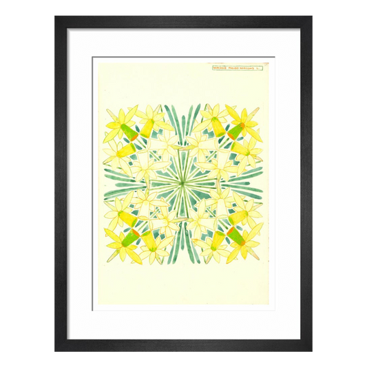 Narcissus - Art print