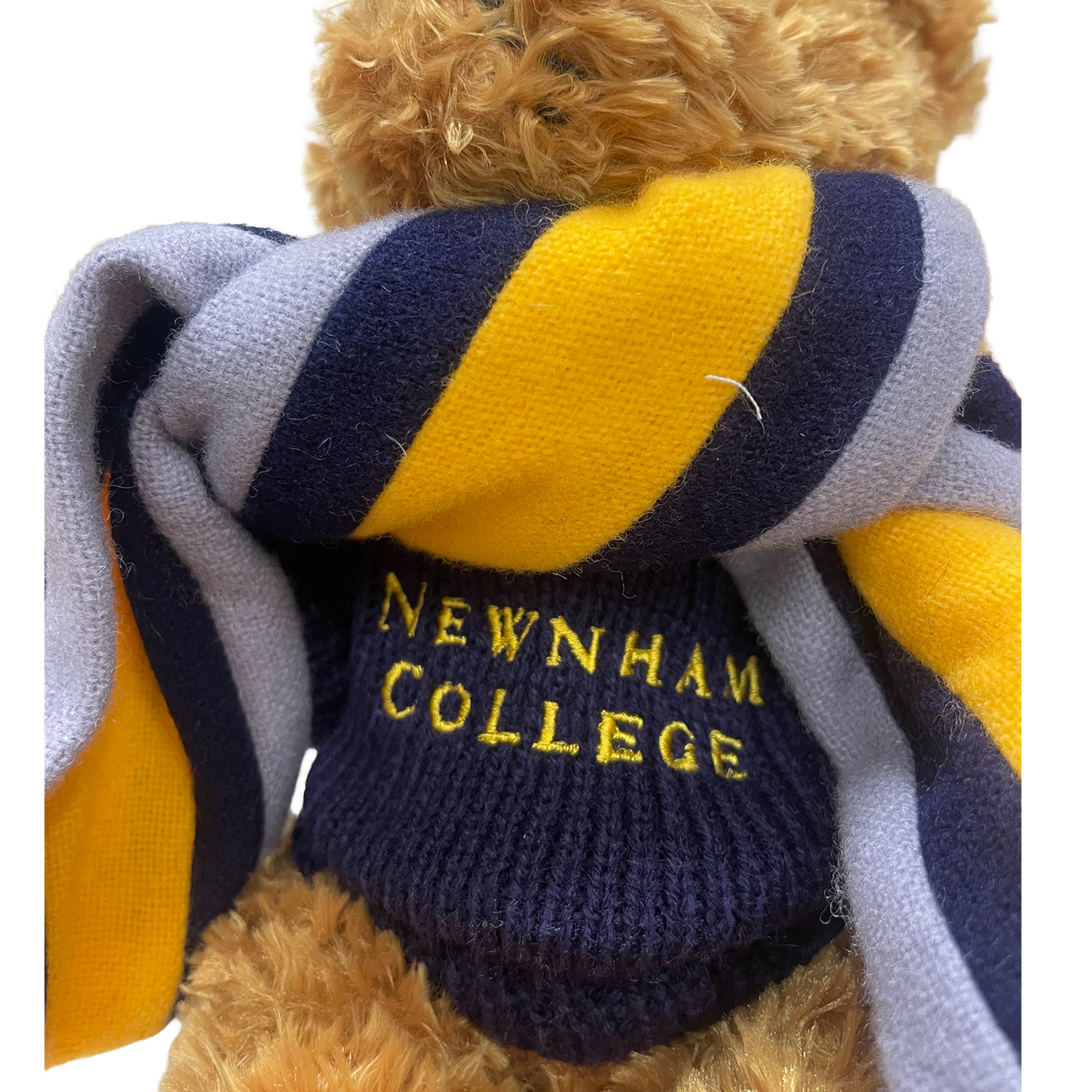 Newnham College Teddy