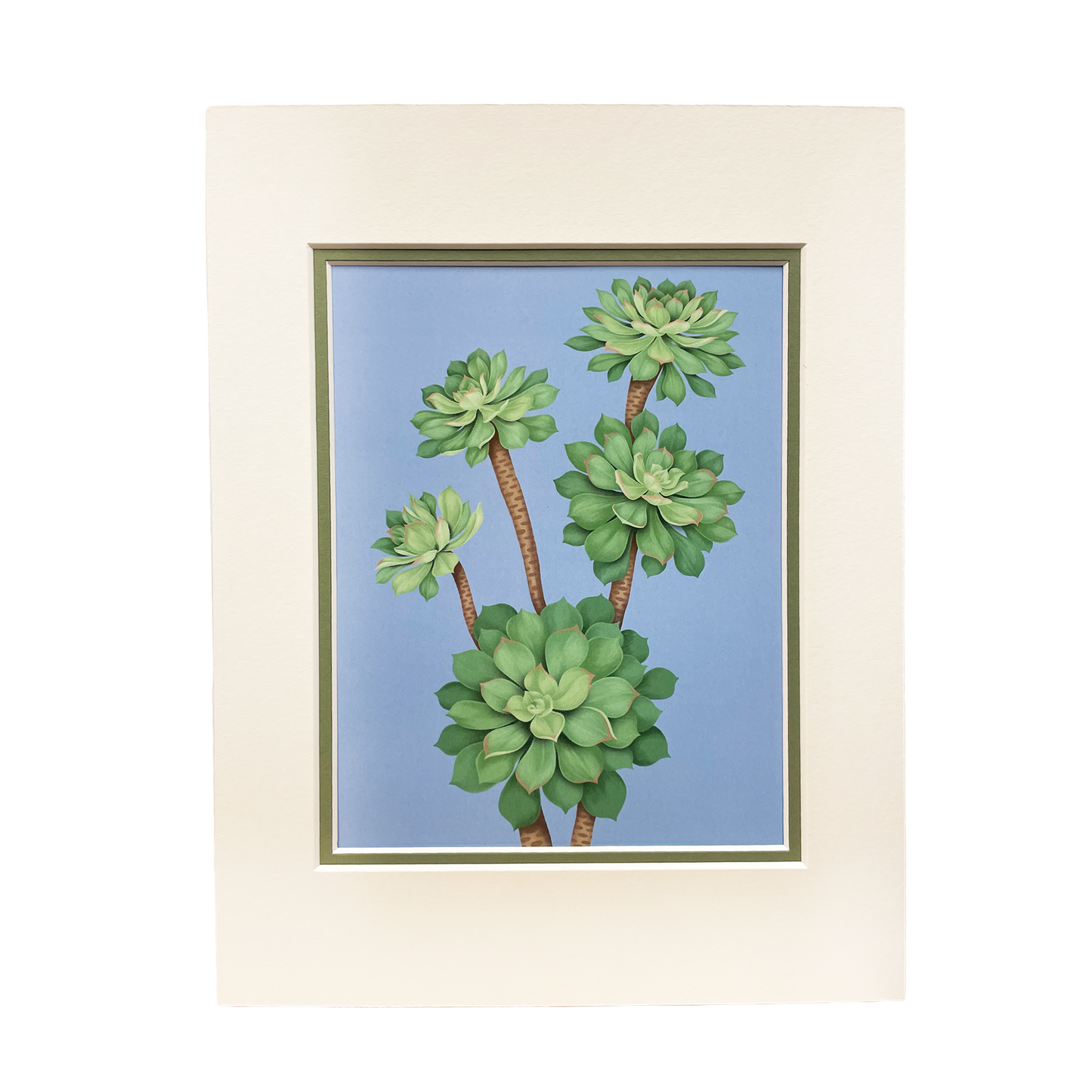 Oceanic Islands - Mounted Print