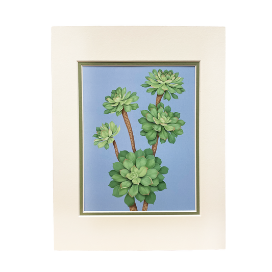 Oceanic Islands - Mounted Print