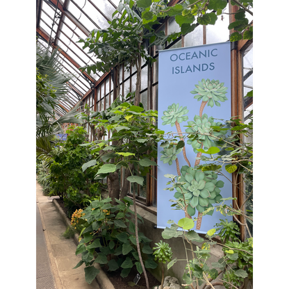 Oceanic Islands - Mounted Print