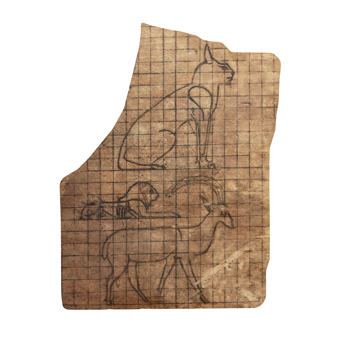 Ostraca with sketches - Wooden postcard