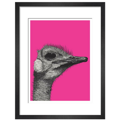 Ostrich on Pink - Art print