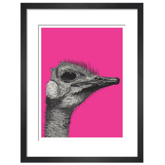 Ostrich on Pink - Art print