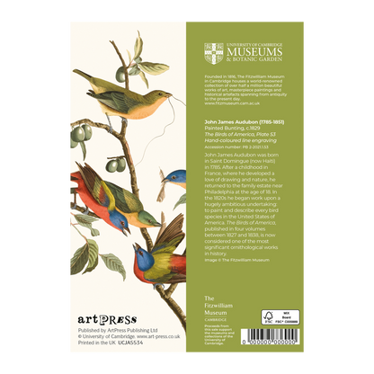 Painted Bunting - Greeting card