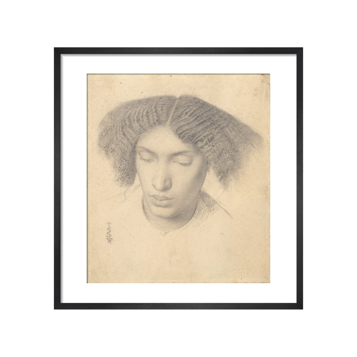 Portrait of Mrs Fanny Eaton - Art print