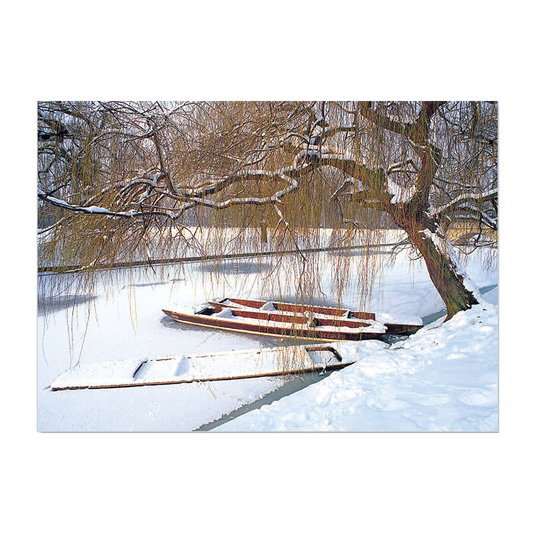 Winter Punts on Trinity Backs - Greeting card