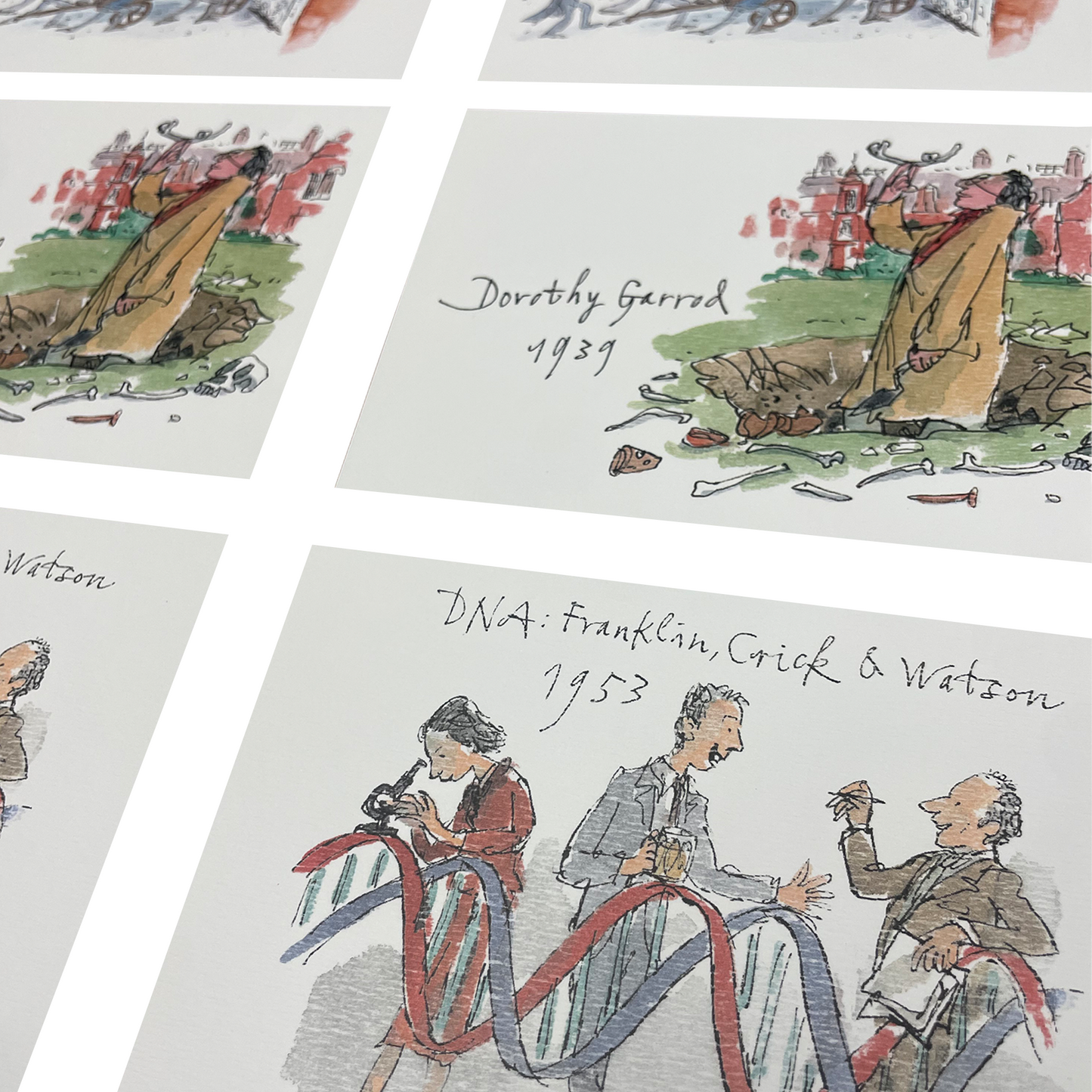 Newnham College Postcard Pack Quentin Blake