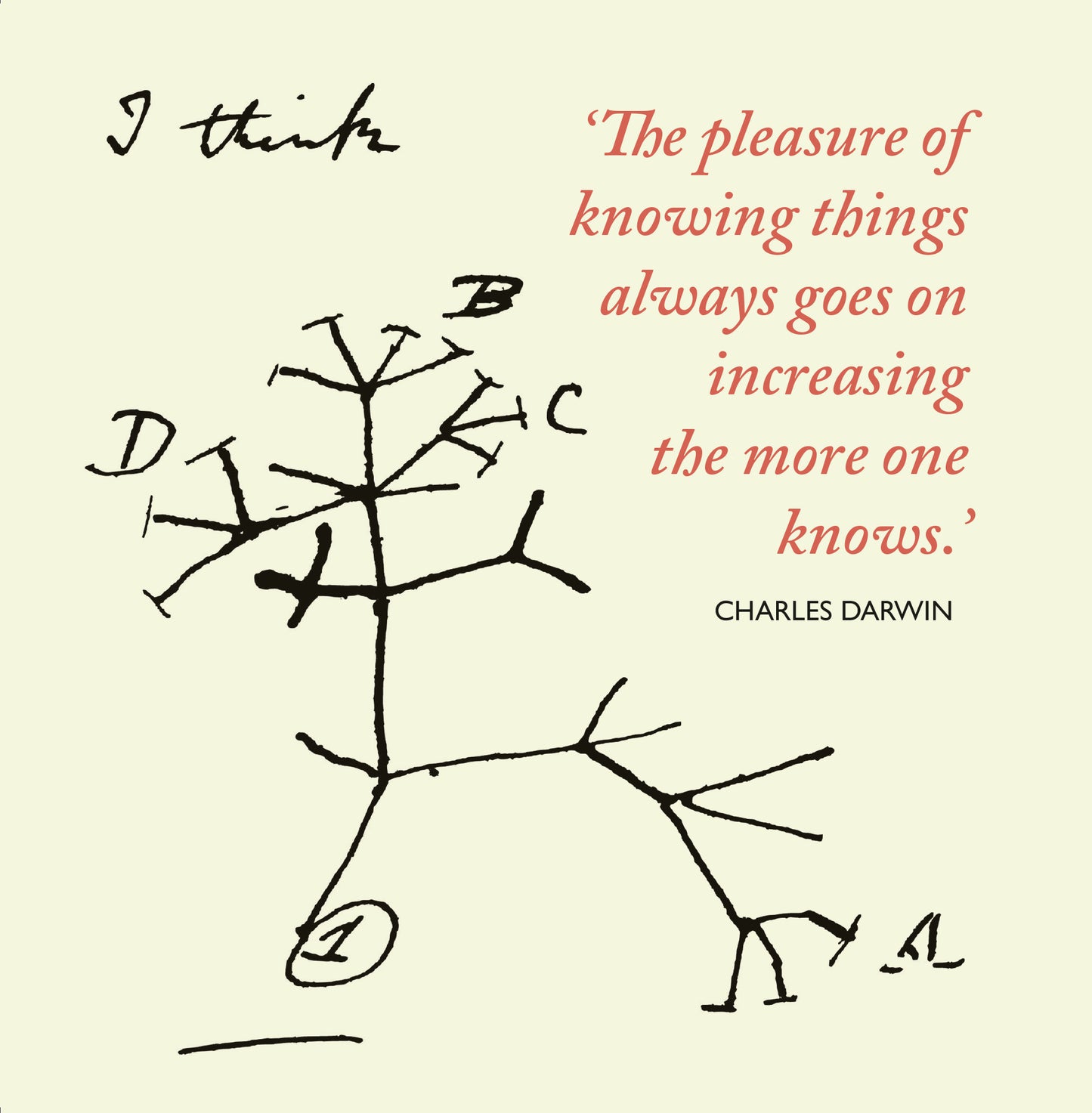 Darwin's Tree of life - Greeting Card