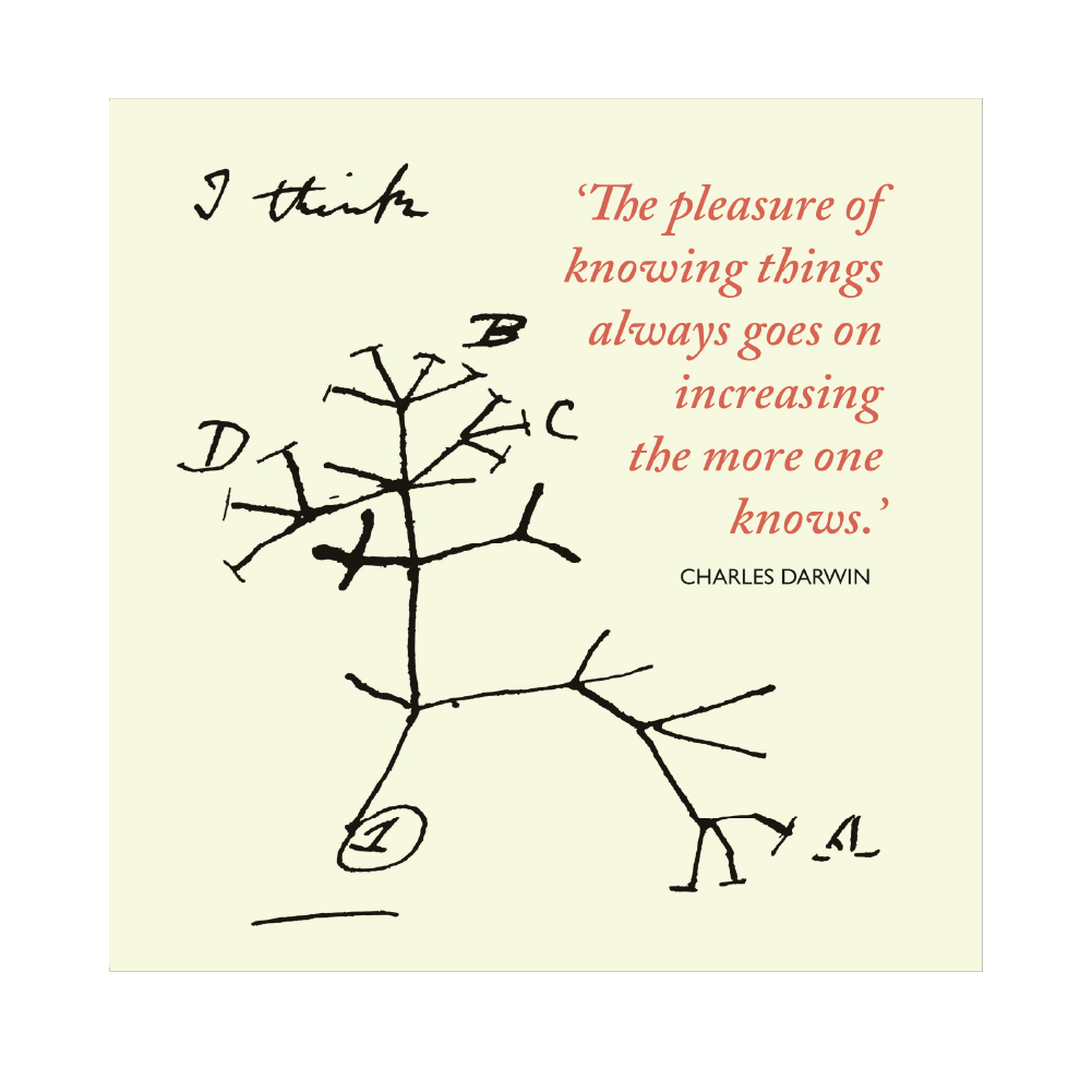 Darwin's Tree of life - Greeting Card