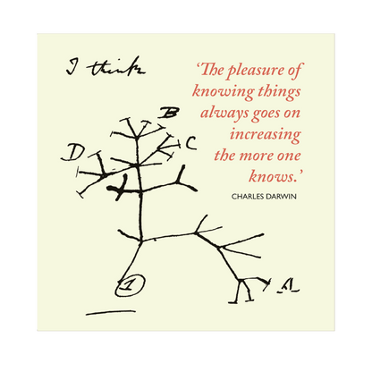 Darwin's Tree of life - Greeting Card