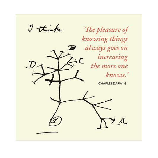 Darwin's Tree of life - Greeting Card