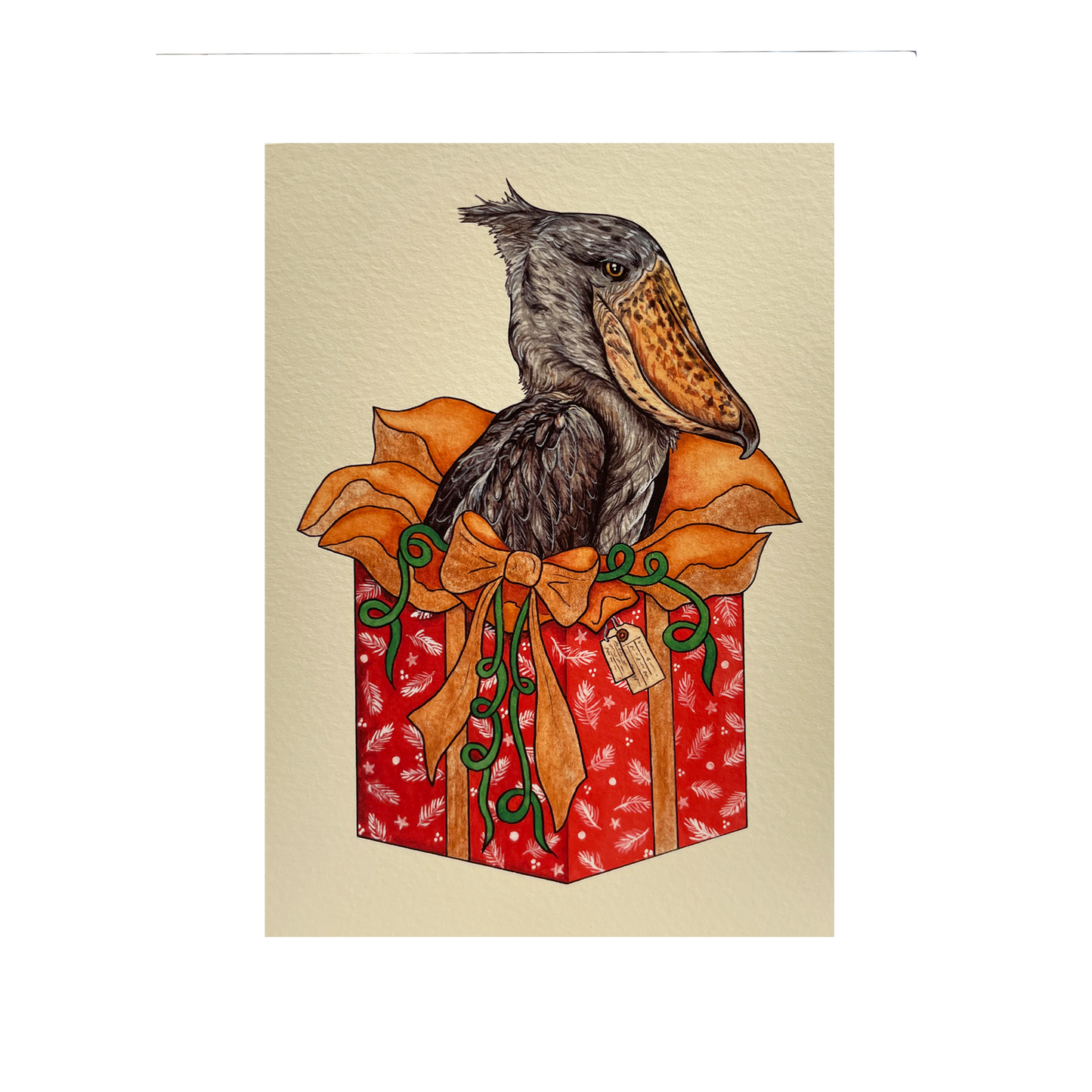 Shoebill Present - Christmas card