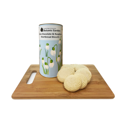 Snowdrops Biscuit Drum - White chocolate and raspberry