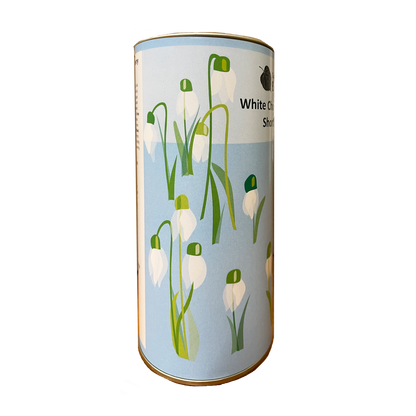Snowdrops Biscuit Drum - White chocolate and raspberry