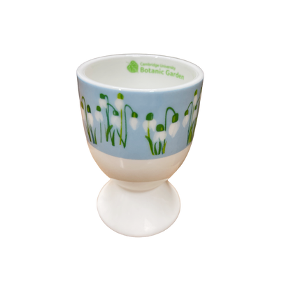 Snowdrops Wrap - Bone china eggcup