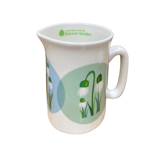 Snowdrops - Bone china jug