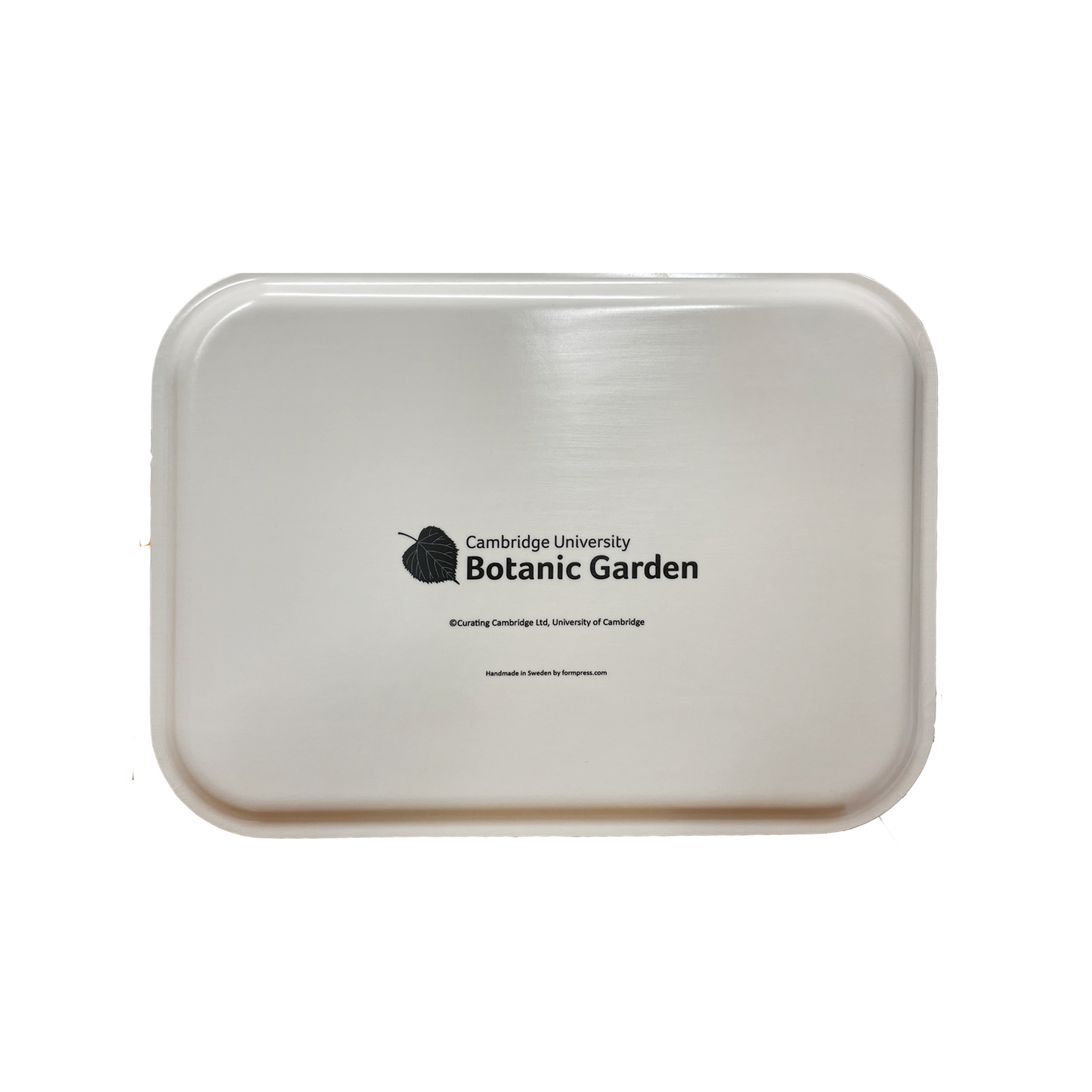 Snowdrops - Rectangular tray