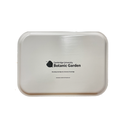 Snowdrops - Rectangular tray