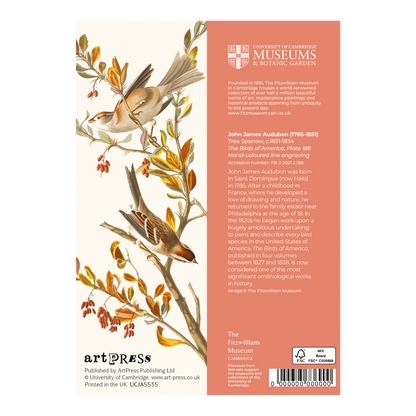 Tree Sparrow - Greeting card
