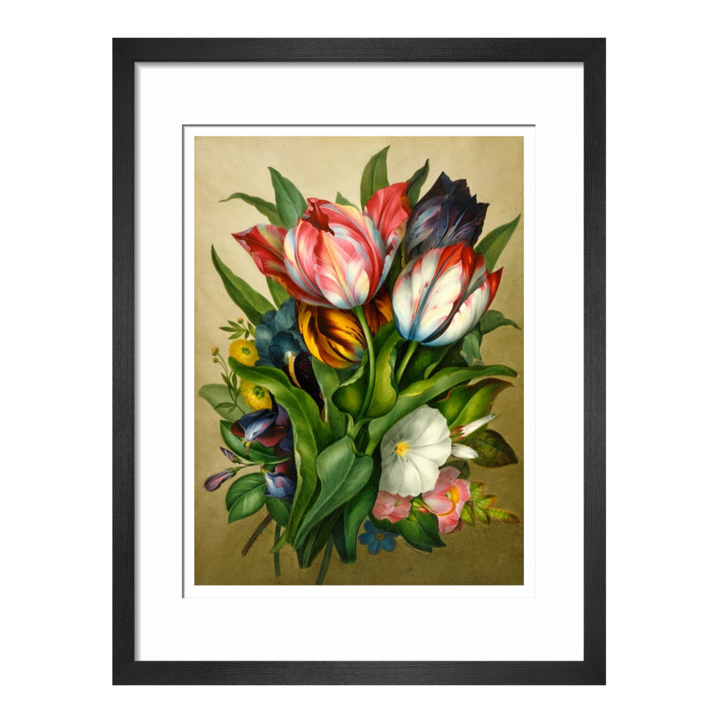 Spray of Tulips - Art print