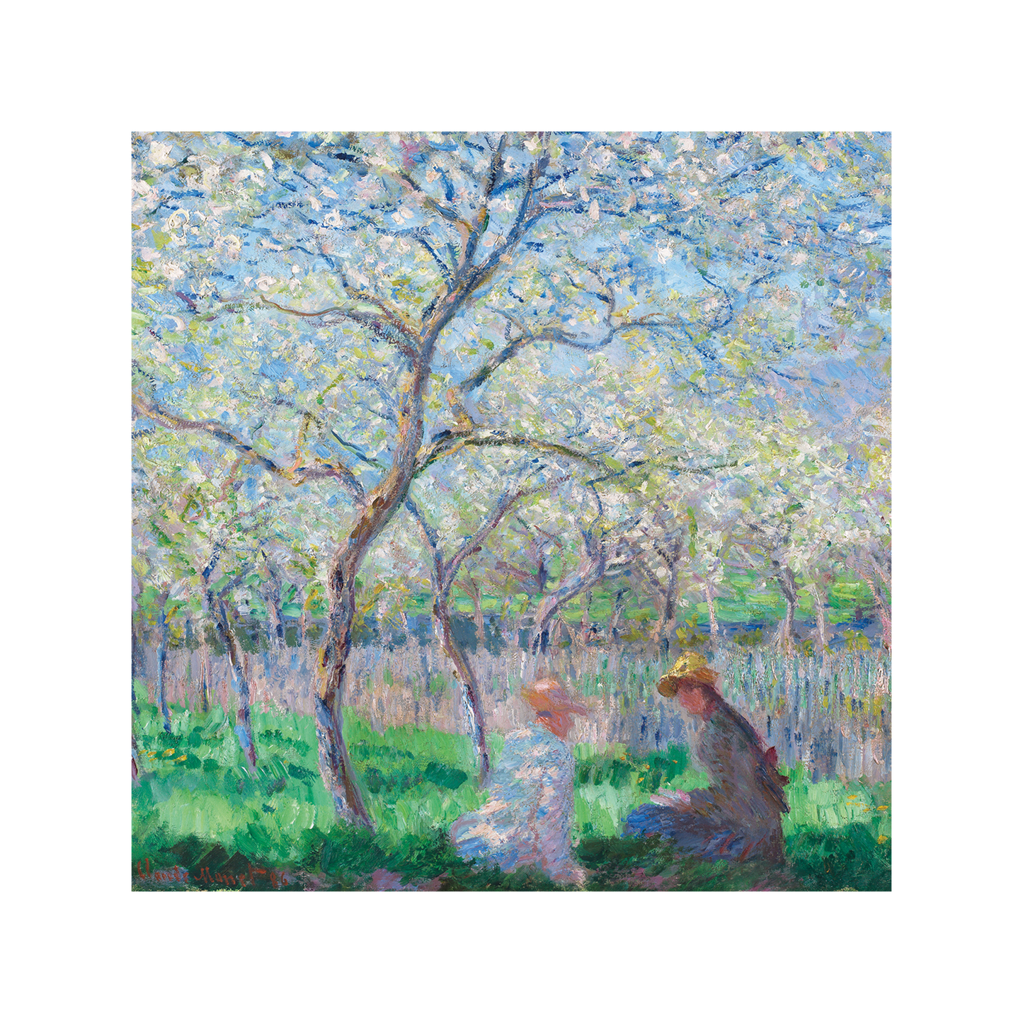 Springtime - Greeting card
