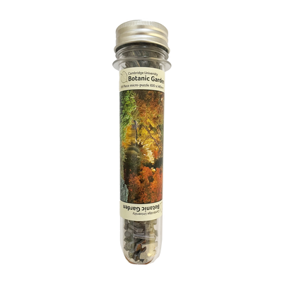 Autumn Colour by the Lake - 99 pc mini tube jigsaw