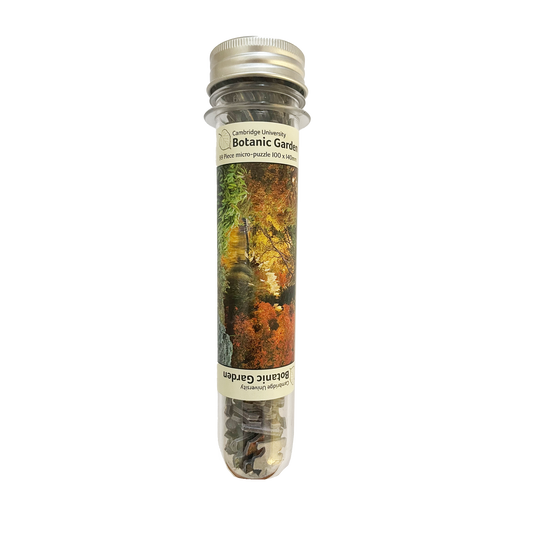 Autumn Colour by the Lake - Mini tube jigsaw puzzle