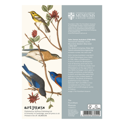 Townsend's Warbler, Arctic Blue-bird, Western Blue-bird - Greeting card