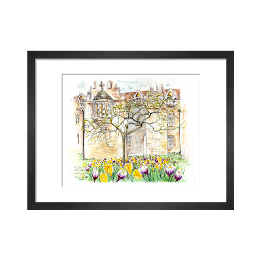 Trinity College, Cambridge, Newton's Apple Tree - Art Print