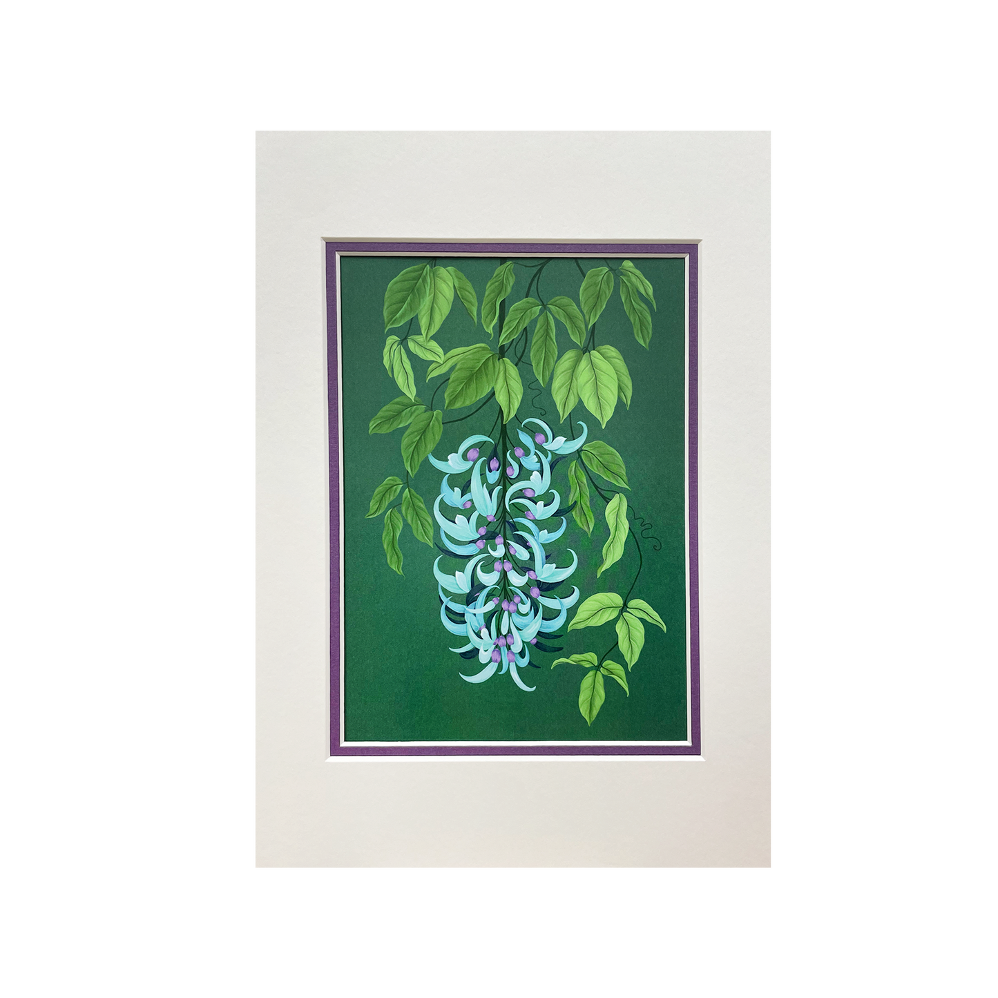 Tropical Forests - Mounted Print