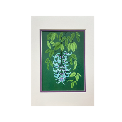 Tropical Forests - Mounted Print