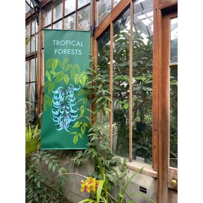 Tropical Forests - Mounted Print