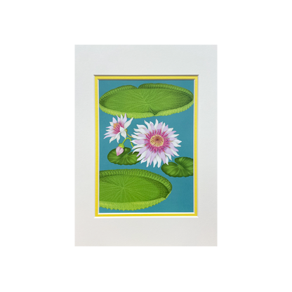 Tropical Wetlands - Mounted Print